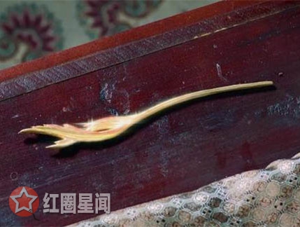 香蜜沉沉烬如霜寰谛凤翎是什么 竟成了旭凤锦觅救命稻草