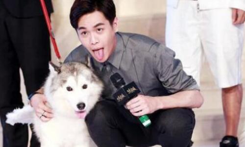 张若昀为什么叫哈士奇 有图有真相张若昀真的神似哈士奇