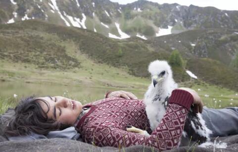 追鹰日记电影好看吗评分多少 讲述了一个少年与鹰的故事