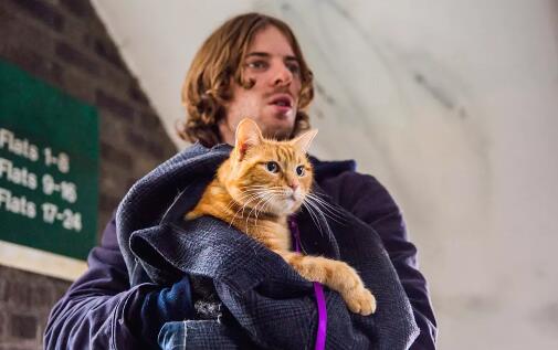 电影流浪猫鲍勃原型是谁 现实版人猫情缘感动无数人