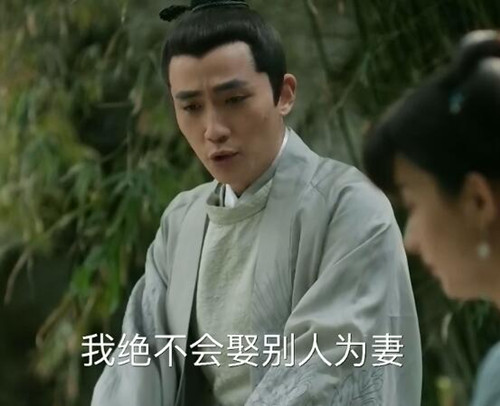知否齐衡为什么娶嘉成县主