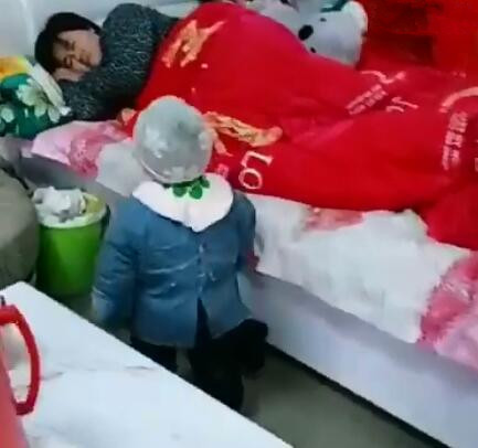 抖音辉哥辉嫂是谁