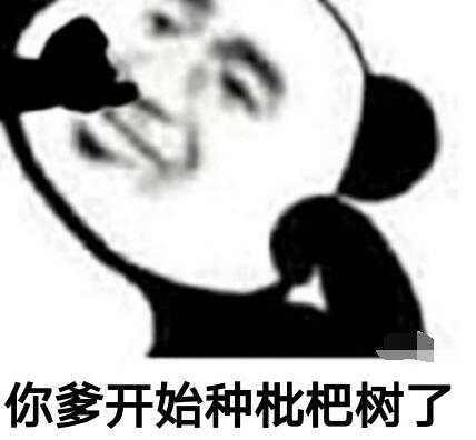 你爸今晚必在庭中种枇杷树什么意思