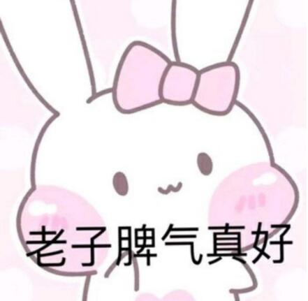 你爸今晚必在庭中种枇杷树什么意思