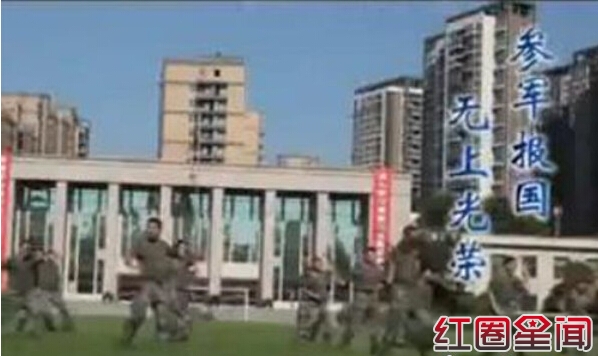 Ӫ桶СƻMV