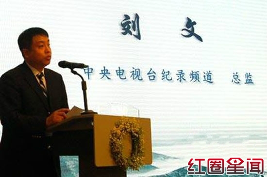 央视纪录频道总监刘文(资料图)