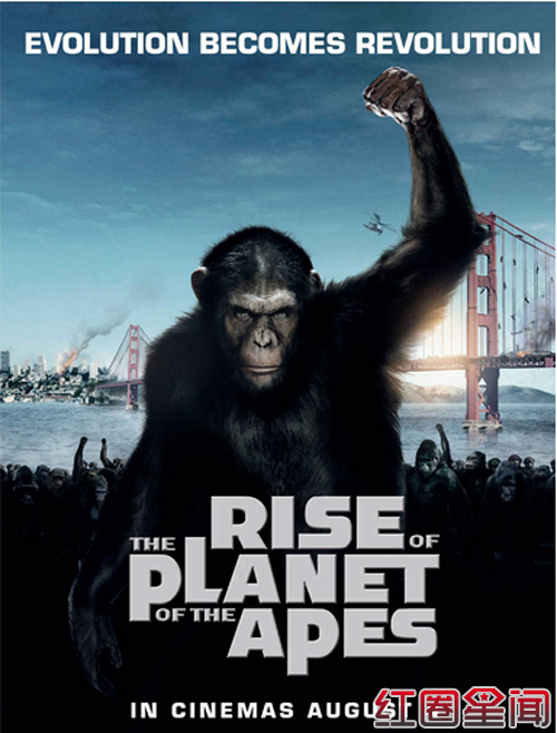 ��������2����