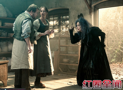 ħ����ɭ�־���