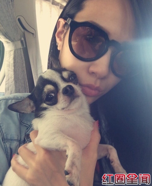 ׯ˼��������