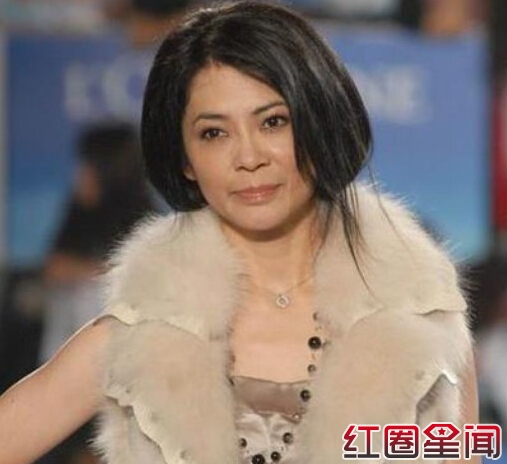 柴智屏