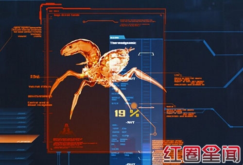 3Dʳ�˳����