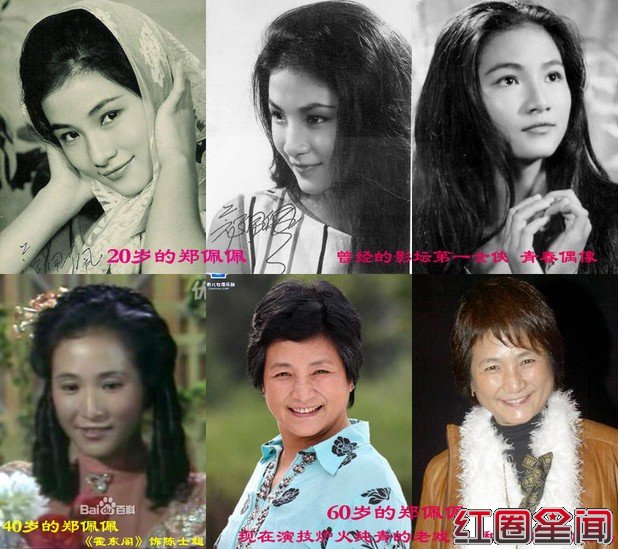 郑佩佩老公原文通身世背景惊人 郑佩佩原文通离婚是怎么回事(2)