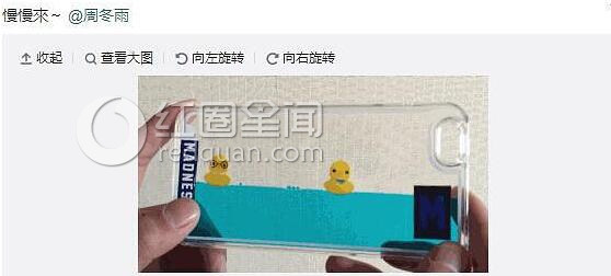 周冬雨和余文乐微博互动疑似公开恋情
