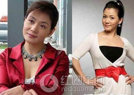 孟庭丽结婚了吗老公是谁
