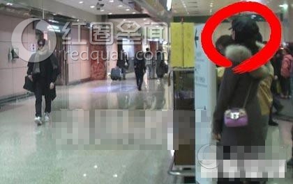 陈晓陈妍希最新消息