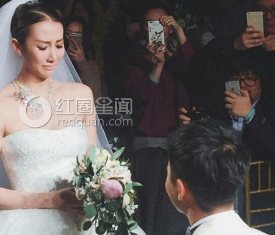 李茂和至上励合谁不和