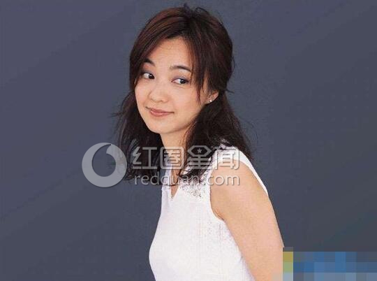 陈慧娴张学友什么关系