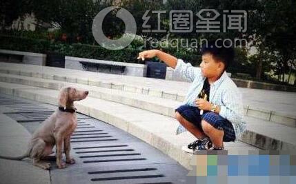 何琳陈坤生子实情