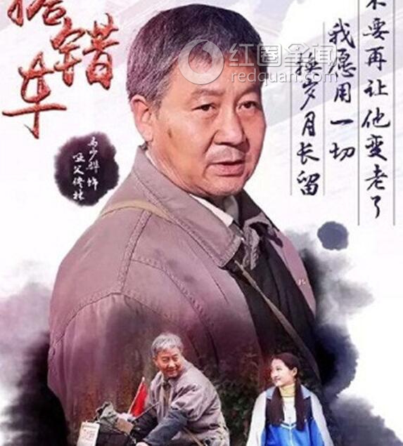 马少骅主演的电视剧都有哪些