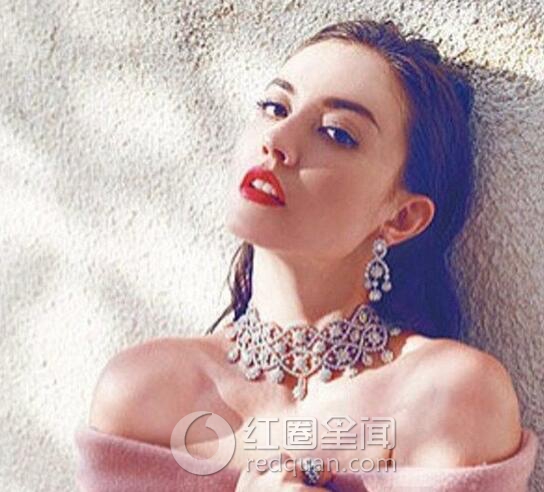外人怎么看待刘碧丽