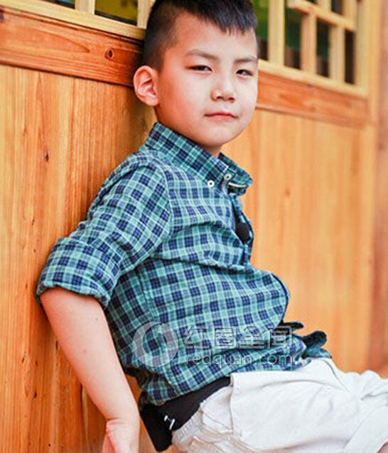 胡军老婆卢芳是哪里人