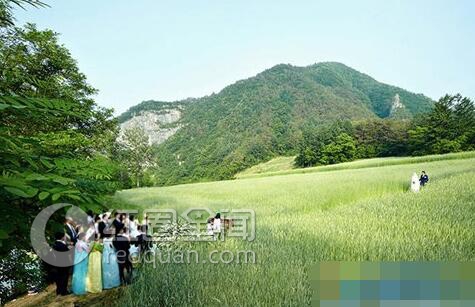 元彬老婆李娜英背景曝光