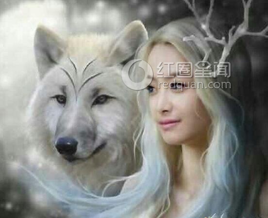 幻城女主角是谁演的