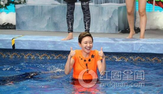 焦俊艳高清图片