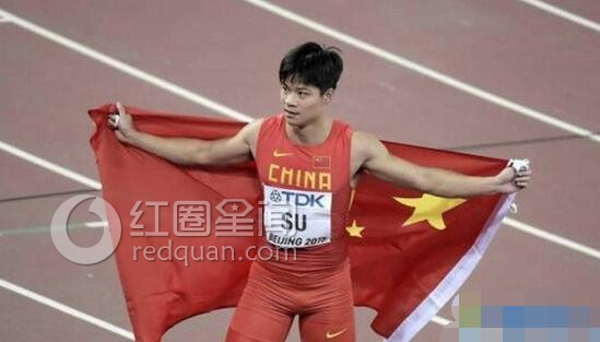 苏炳添一年收入多少钱