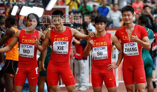 苏炳添一年收入多少钱
