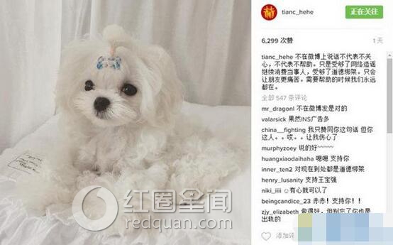 陈赫前妻为什么离婚
