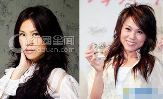 蔡健雅整容了吗