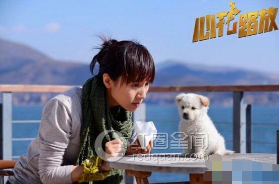 袁泉影视作品有哪些
