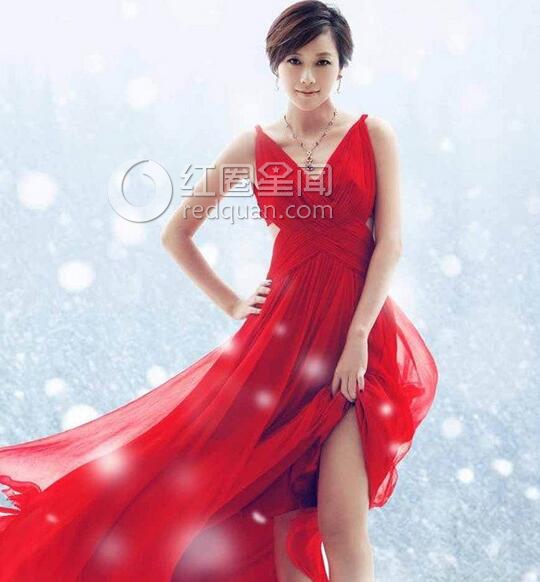 徐静蕾未婚真相