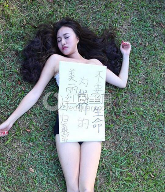 单舒仪大胸照