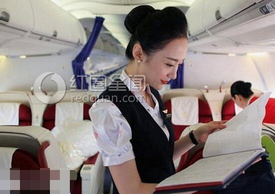 刘苗苗是哪儿人