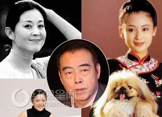 倪萍赵忠祥什么关系