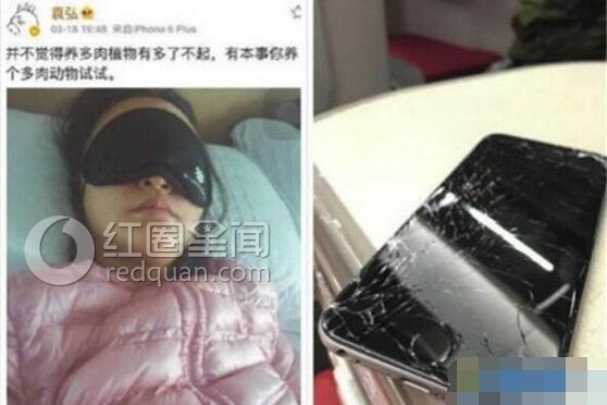 袁弘张歆艺恋爱史揭秘