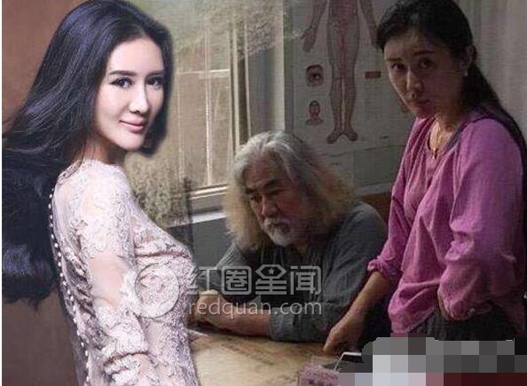 张纪中情人杜星霖背景揭秘