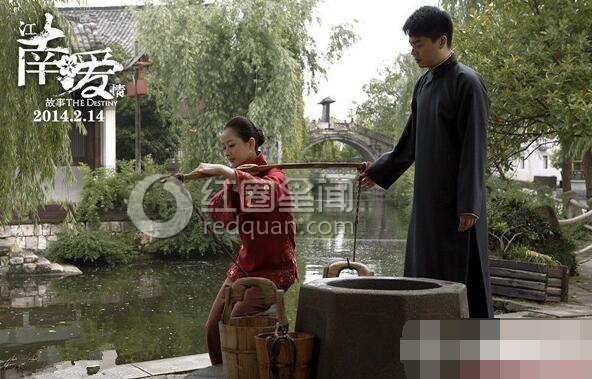 沈涛为什么要减肥