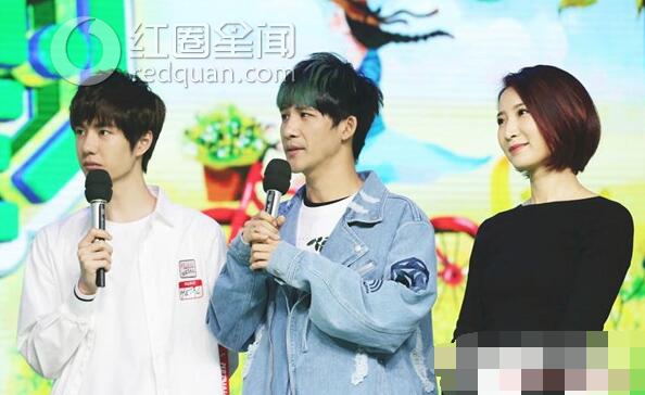 许婧为什么一直旅游