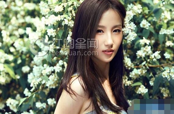 高洋演过的电视剧多吗