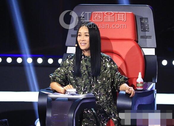 张玮对那英的评价怎么样