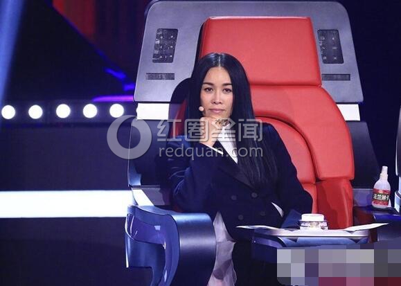 张玮对那英的评价怎么样