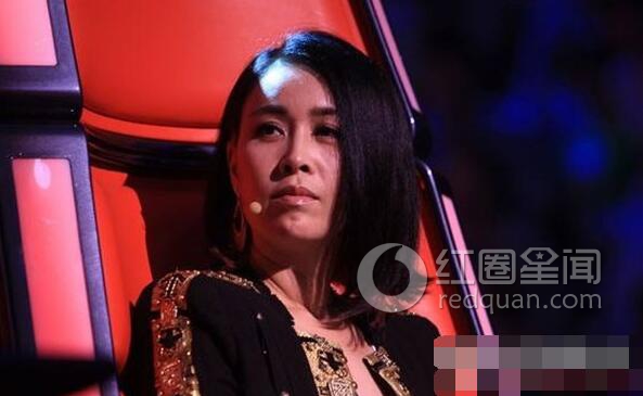 张玮对那英的评价怎么样