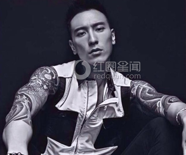 张俪整了哪些地方