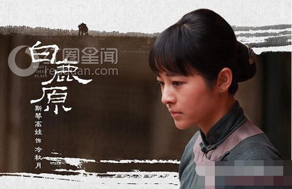 白鹿原停播是怎么回事