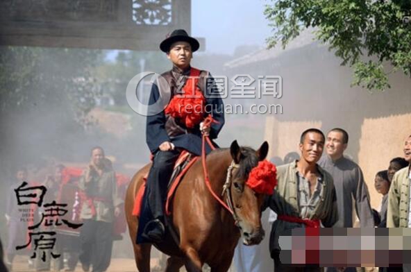 白鹿原停播是怎么回事