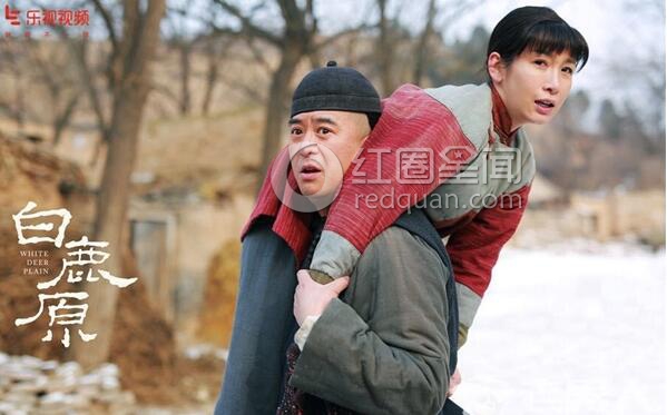 白鹿原停播是怎么回事