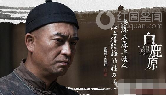 白鹿原停播是怎么回事
